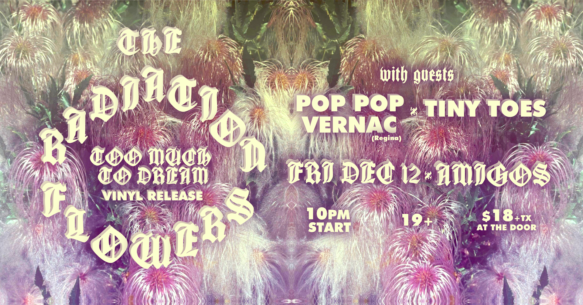 The Radiation Flowers “Too Much To Dream” Vinyl Release Show w/ Pop Pop Vernac and Tiny Toes
