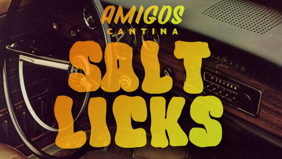 New Year’s Eve 2025 featuring the Salt Licks!